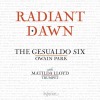 Radiant Dawn - The Gesualdo Six, Park (Hyperion)
